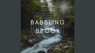 Babbling Brook Tranquility