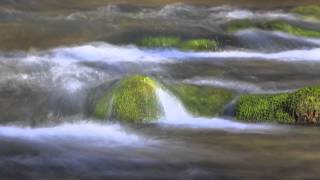 Two Minutes of Mindfulness, Practice 2