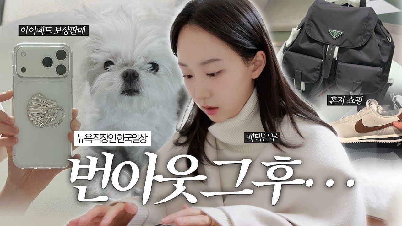 𝐕𝐋𝐎𝐆 | 내 직관과 호기심이 이끄는대로 살자... 번아웃이 남기고 간 것