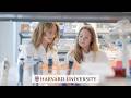 Harvard Research Changing Lives Through Medicine