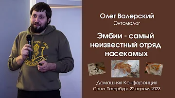 Эмбии - самый неизвестный отряд насекомых