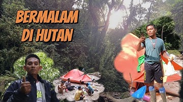 adventure mikat burung di pedalaman hutan sumatera ||  poin burung langka cililin sumatera