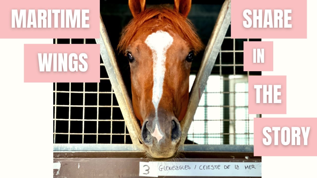 Maritime Wings - From the Sales Ring to the Winning Post