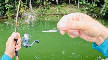 Ultralight Fishing with Gulp Minnows | RAW and UNCUT