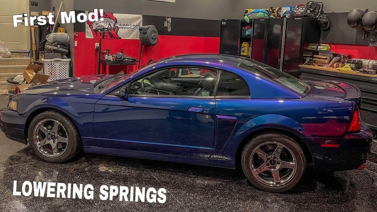 Lowering My 2004 MysticChrome Cobra