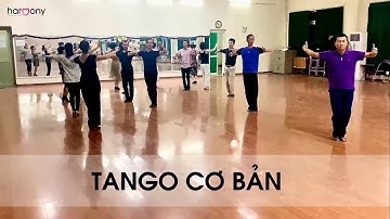 Học khiêu vũ Tango cơ bản