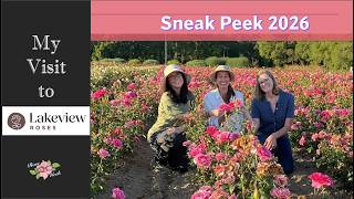 🌹Lakeview Roses 2026 Sneak Peek 🌹 | My Visit & How to Order