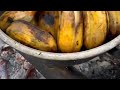 Di ara hastang lamia sa saging
