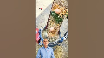 #fcnfm #feedpelletmachine Pellet Mill Machine for Animal Feed Production and Organic Fertilizer Solu