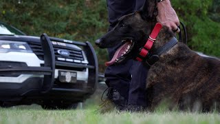 Woodbury K9 unit: Virtual Demo
