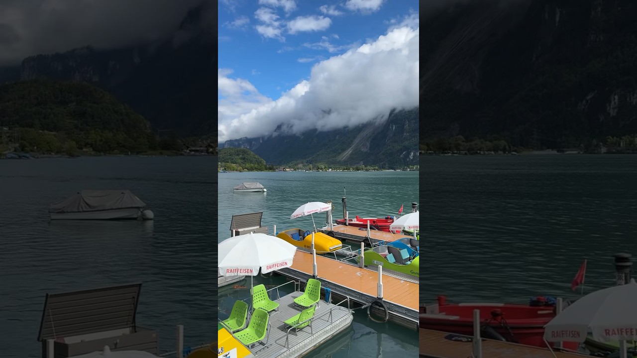 🇨🇭Lake Brienz ☀️🪿