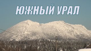 Уральский лес неотразим ( 13 января - 2024 )