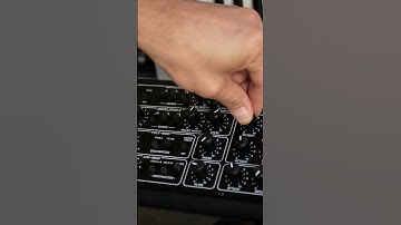 Why I Love the Behringer Pro-800 ❤️ – Analog Synth Demo #shorts