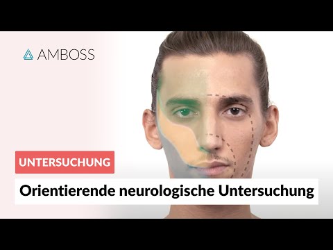 Orientierende neurologische Untersuchung