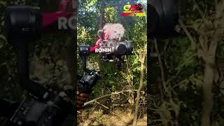 behind the seen  #nagpurimusic #santali_viral_video  #comedy #sad #song #love #funny #hosong
