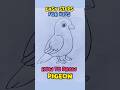 How to Draw Pigeon 🐦 #drawing #art #youtubeshorts #shortsfeed #stepbystep #easydrawing #quickdrawing