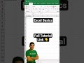 Ms Excel Basics For Beginners #excel #excelbasics #excelforbeginners #microsoftexcel