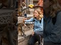 Monkeys Completely TOOK OVER This Thai City (Locals Are Trapped!)