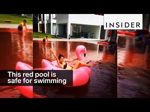 Video: Kan du simma i rött vatten?