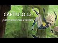 Gatos por todas partes  gravity rush 12