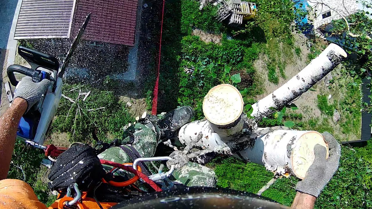 I Cut Down a TREE for $90 | REMOVING Trees