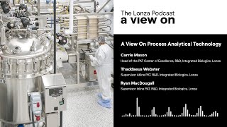 A View On Process Analytical Technology