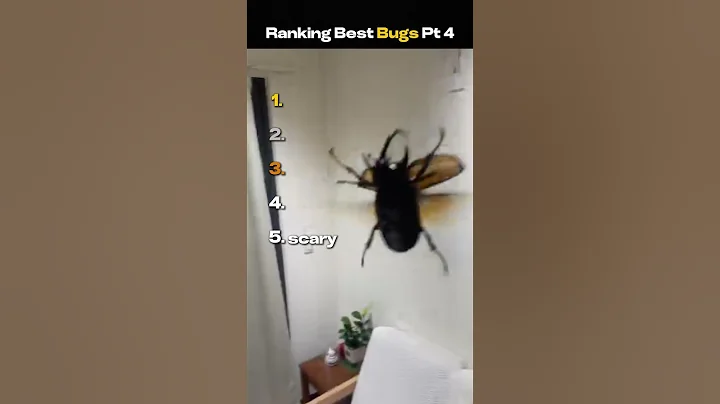 Ranking Best Bugs Pt 4