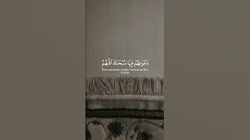 محمد أيوب | #سورة_يونس #قرآن #القرآن_الكريم #قران_كريم #quran