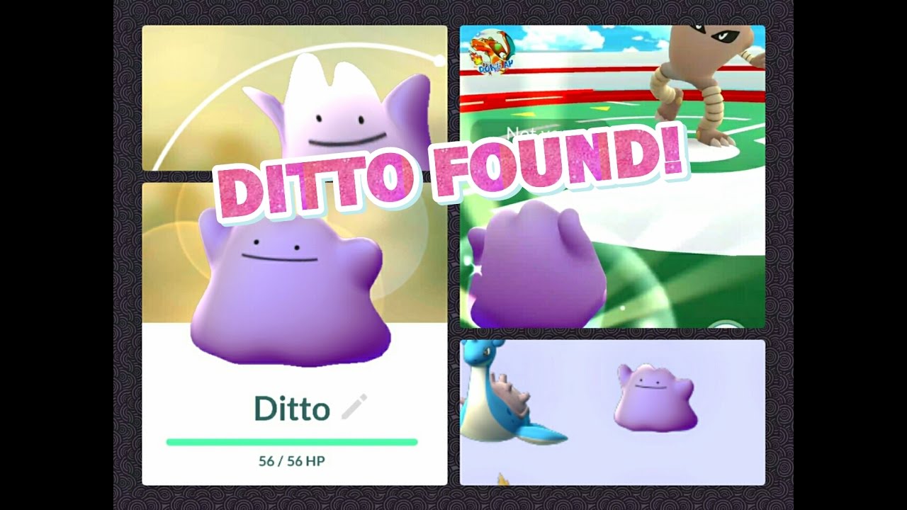 How to Use Ditto in Pokemon GO - Prima Games