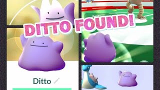 Olá Treinadores! Missão do Ditto Completa! 🥳💓#pokemongo #pokémon