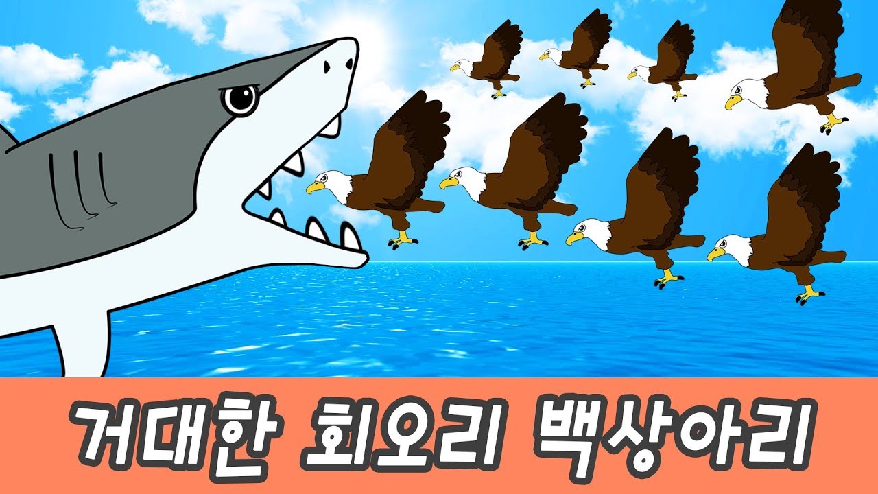 한국어ㅣ거대한 회오리 백상아리 이야기, 동물 만화영화, 동물이름 맞추기ㅣ꼬꼬스토이