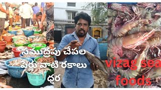 సముద్రపు చేపల పేర్లు | వాటి రకాలు | వాటి ధర | వైజాగ్  సీ ఫుడ్స్ | Names of sea fish | Their types