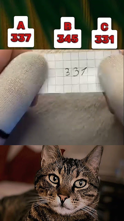see can the correct number 👽 #cat #shorts