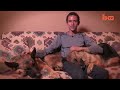 Dog Whisperer: Trainer Walks Pack Of Dogs Without A Leash