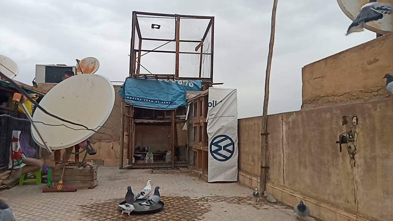 جولة في براكة شريف عادل المراكشي