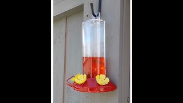 @SARASWAT. HOW TO #FILL #NECTAR SOLUTION IN A #HUMMINGBIRD #FEEDER TO ATTRACT THEM.
