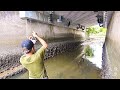 干上がりかけの川に残っていたのは…