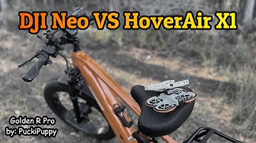 DJI Neo VS Hoverair X1 / Pursuing the Puckipuppy Golden R Pro