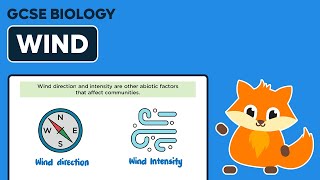 Abiotic Factors: Wind - GCSE Biology