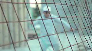 Prințul De La Cluj - Pitica - Video Official Hit