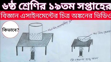 Class 6 19 th Week Science Assignment ||৬ষ্ঠ শ্রেণির ১৯তম সপ্তাহের বিজ্ঞান এসাইনমেন্ট ২০২১