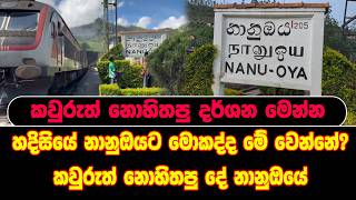 හදිස්සියේ නානුඔයට මොකද්ද මේ වෙන්නේ?කවුරුත් නොහිතපු දර්ශන මෙන්න