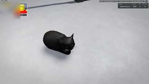 Maxwell in Voxel Destruction Physics