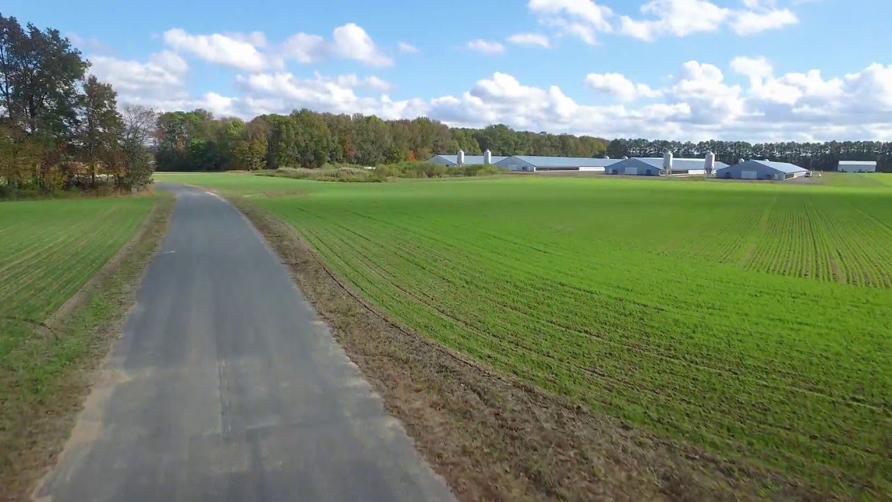 Hurlock, Maryland Poultry Farm For Sale YouTube