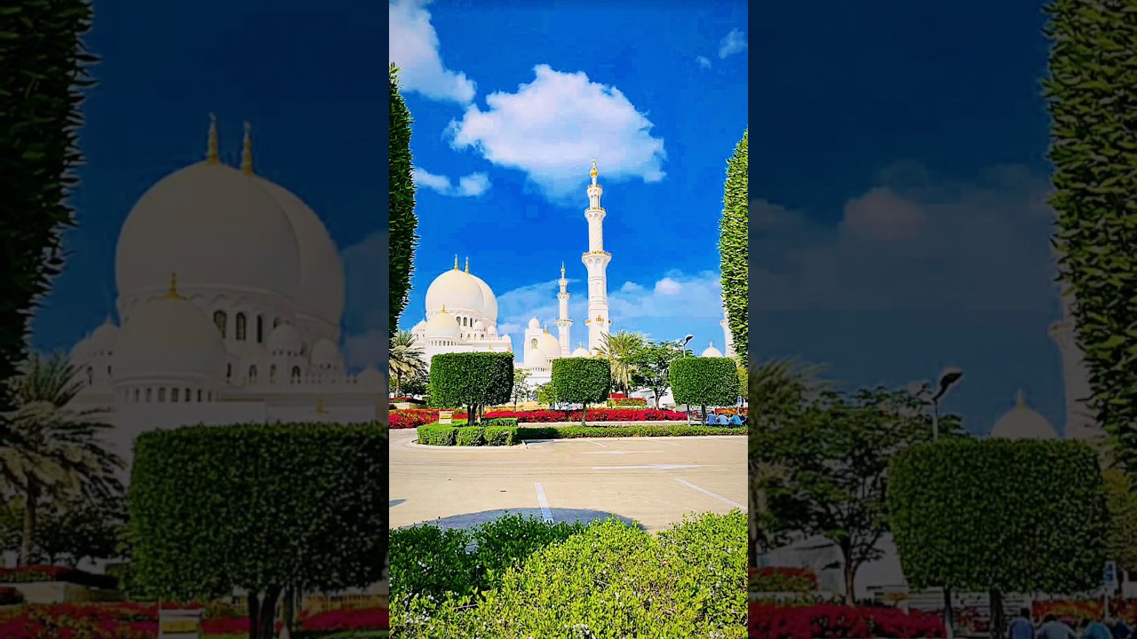 Jashan e Amad e Rasool🥰💖