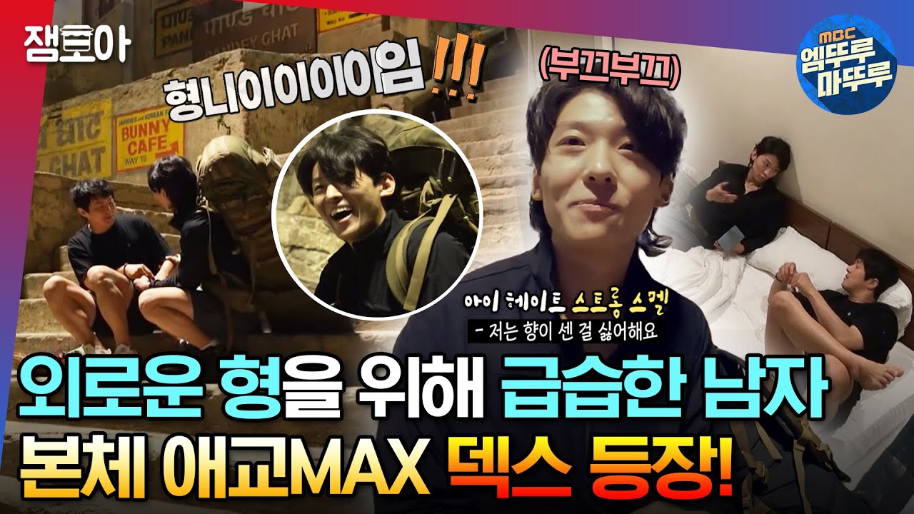 태계일주2] 홀로 여행에 지친 기안84를 찾아온 몰래 온 손님 🐯아기 맹수 덱스🐯와 한 침대에서 보낸 하룻밤🔥ㅣ#기안84 #덱스  #빠니보틀 Mbc230618방송 - Youtube