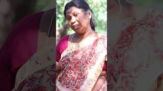 Assola| Country Chicken Pure Eggs| Own Feeds| Dr.eggloo| Chennai|