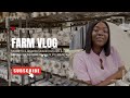 My Trip to a Nigerian Mushroom Farm &amp; Meeting the Inspiring Owner