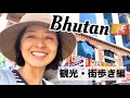 【Vlog】世界一幸せな国の街歩き/観光/家族旅行
