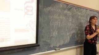 Bio100 Review ch 1-4